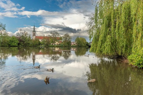 Huttenheim village reflected in a natural tree-lined river in spring. Bas Rhin, Alsace, France,