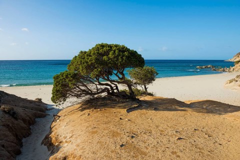 Lonely sandy beach and rocks, Spiaggia di Porto Sa Ruxi, Villasimius, south coast, Sardinia, Italy,