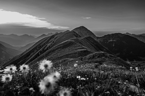 Hiking tour on the Hönig mountain in the Lechtal valley near Berwang in Tyrol, Austria, Europe