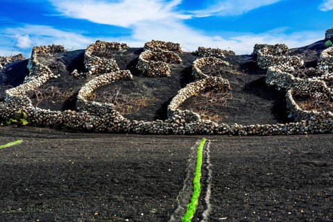 2016, Tiagua, Lanzarote, Farm Museum El Patio, Tiagua, ESP, Spain, Canary Islands, Canary Islands,