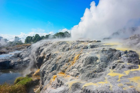 Prince of Wales and Pohutu geysers erupting, Te Puia Thermal Valley, Rotorua, Bay of Plenty, North