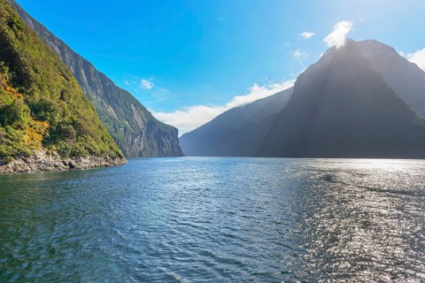 Milford Sound, Fiordland National Park, South Island, New Zealand, Oceania