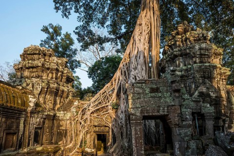 Ta Prohm, Angkor Wat, Angkor, UNESCO World Heritage Site, Siem Reap, Cambodia, Indochina, Southeast