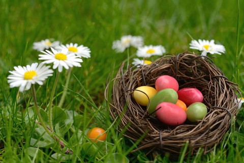 Sugar eggs in an Easter nest in the meadow with daisies