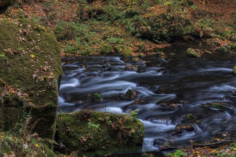 Flowing water with ferns and rocks in the Edmunds Gorge in autumn. River Kamnitz, Hrensko, Ustecky