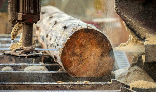 Solingen, North Rhine-Westphalia, Germany - Spruce logs, here spruce wood infested by bark beetles,