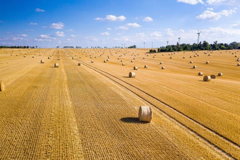 Straw bales on a harvested grain field from above, Nossen, Saxony, Germany, Europe