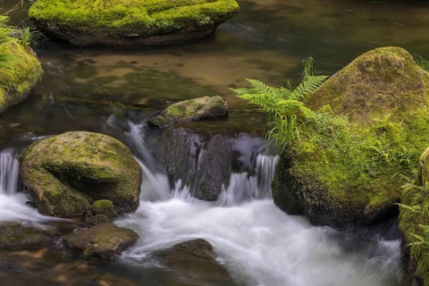 Flowing, silky water with ferns and rocks in the Edmunds Gorge, river Kamnitz, Hrensko, Ustecky
