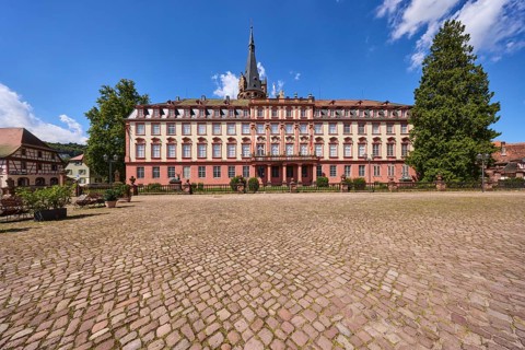 Erbach Castle, trees, cobblestone square, blue sky with cumulus clouds, market square, Erbach,