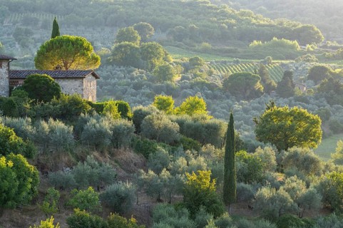 Tuscan landscape next to greve in Chianti and Montefioralle, country estate with vineyards,