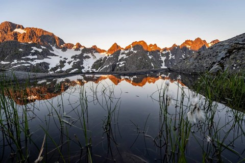 Rocky mountain peaks with reflection, small pond with cotton grass in moor landscape at Trollfjord
