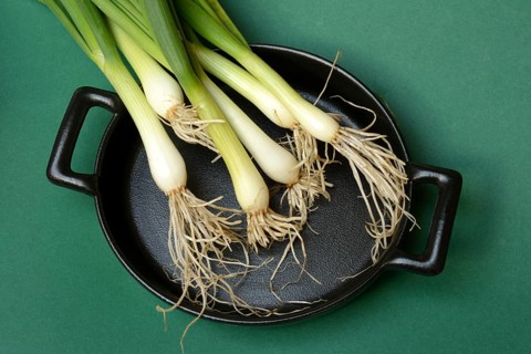 Spring onions on pan, onion