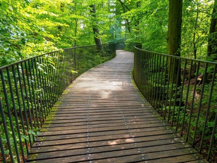 Curved bridge in the Felsenmeer nature reserve, near Hemer in the Sauerland region