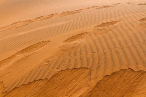Structures in the sand, Sossusvlei, Namib Desert, Namibia, Africa