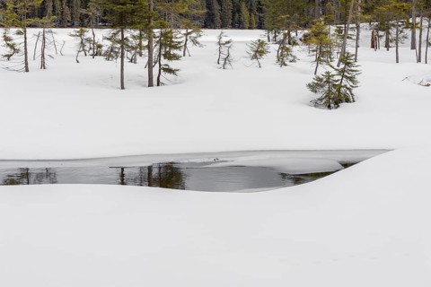 Lake Grosser Arbersee in late winter. The lake and the adjacent forest are snow covered. Germany,