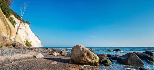 Beach with boulders and uprooted trees at the chalk cliffs of Møns Klint on the Baltic Sea, Møn