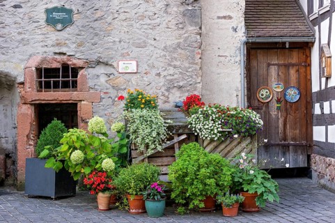 Colourful flowers in flower pots at the entrance to the witches' tower, dungeon, dungeon, torture