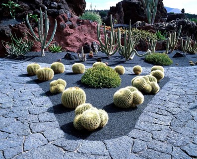 Cactus (Cactaceae) Garden, Lanzarote, Canary Islands, Spain, cactus garden Canary Islands, cacti,