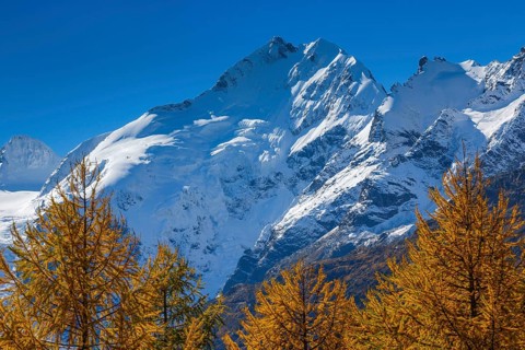 Piz Bernina, 4049 m, Bianco ridge, Upper Engadine, Grisons, Switzerland, Europe