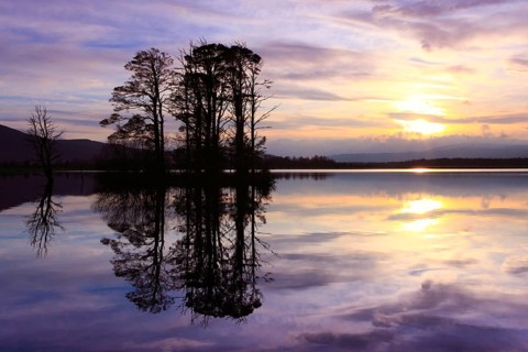 Loch Mallachie, Cairngorms National Park, Scotland, United Kingdom, Europe