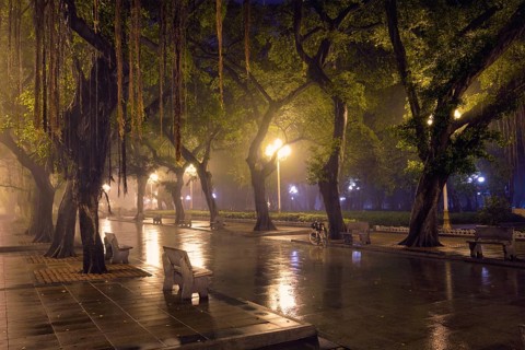 Guangzhou People's Park with mist fog at night. Guangzhou, China, Asia