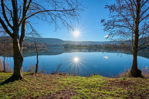 Lake with trees at sunrise, Freudenberg am Main, Untermain, Spessart, Odenwald, Franconia,