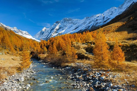 River Lonza with Aletschhorn and Schinhorn, Valais, Switzerland, Lötschenlücke, Lötschenlücke,