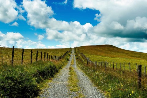 Path in Cezallier plateau, Auvergne volcanoes regional natural park, Puy de Dome department,
