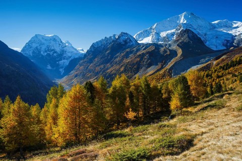 Mt Collon, Pigne d'Arolla, Arollatal, Valais Switzerland