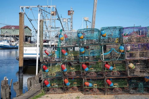 Shell Beach, Louisiana - Traps for blue crabs on a dock in St. Bernard Parish, southeast of New