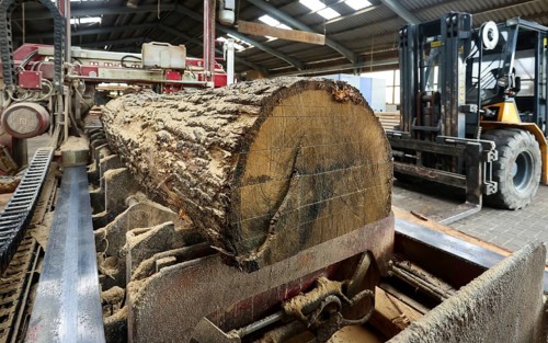 Solingen, North Rhine-Westphalia, Germany - Oak logs on the bandsaw in the sawmill, construction