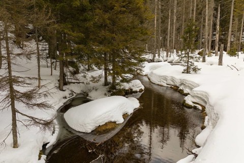 Lake Grosser Arbersee in late winter. The lake and the adjacent forest are snow covered. Germany,