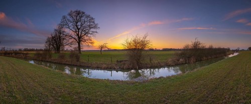 View over a ditch to non-leafy trees in the sunset, Panorama, Kirchlinteln, Verden, Aller Leine