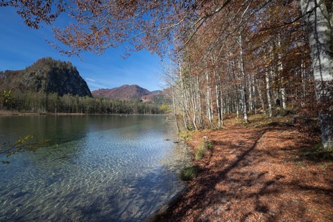 Walkway along the shore of Lake Almsee in autumn through a colored forest