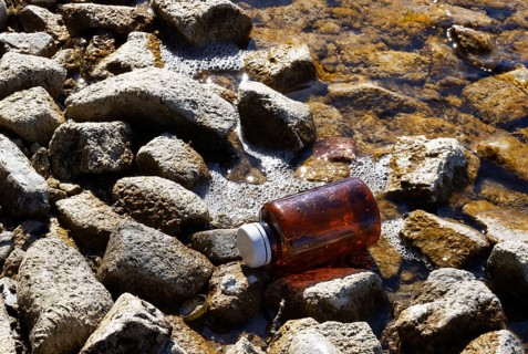 Environmental pollution, Plastic bottle washed up on the lake shore, Household waste, Austria,