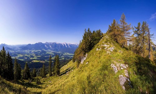 Mountain forest on the way to the Einberg with a view of the Lammertal and Tennengebirge, Postalm,