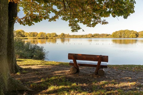 Bench on the bank with a view of the Dippelsdorf pond, Friedewald, Moritzburg, Saxony, Germany,