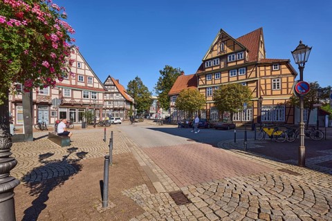 Lantern, flower decoration, ivy geranium (Pelargonium Peltatum), historic half-timbered houses,