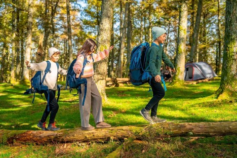 Three young caucasian brothers and sister walking playfully maintaining the balance on a tree trunk