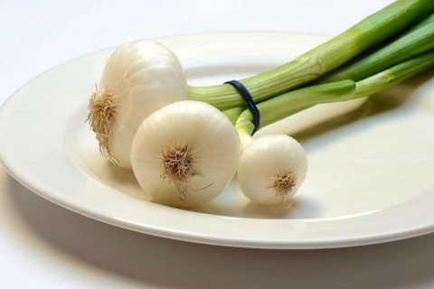 Onion, spring onions on a plate