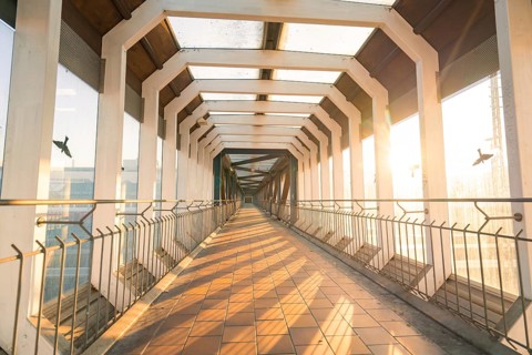 A light-flooded glass corridor with a strict geometry, surrounded by birds and bathed in warm