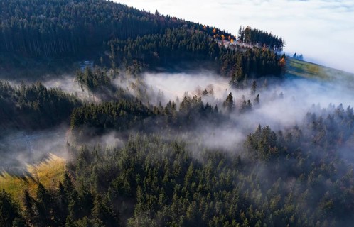 Drone shot, autumn landscape, morning fog over a coniferous forest, Mondseeland, Salzkammergut,