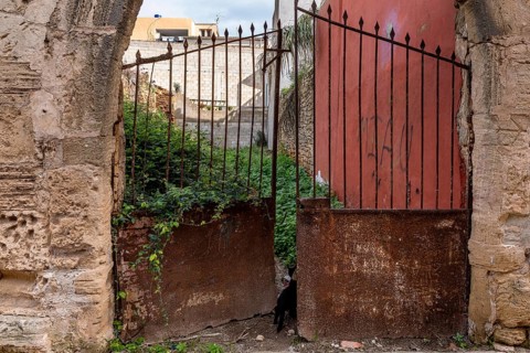 Detail photo, rusty property gate in the old town of Alcudia, Majorca, Spain, Europe