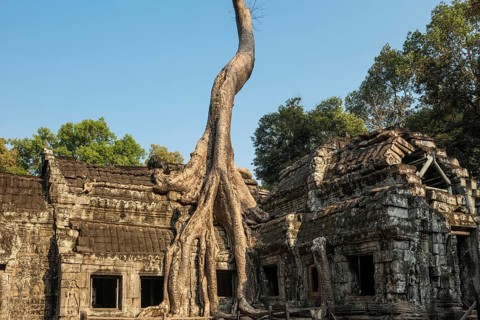 Ta Prohm, Angkor Wat, Angkor, UNESCO World Heritage Site, Siem Reap, Cambodia, Indochina, Southeast