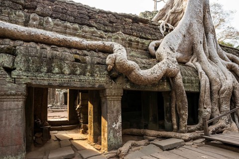 Ta Prohm, Angkor Wat, Angkor, UNESCO World Heritage Site, Siem Reap, Cambodia, Indochina, Southeast