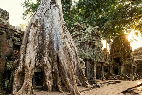 Ta Prohm, Angkor Wat, Angkor, UNESCO World Heritage Site, Siem Reap, Cambodia, Indochina, Southeast
