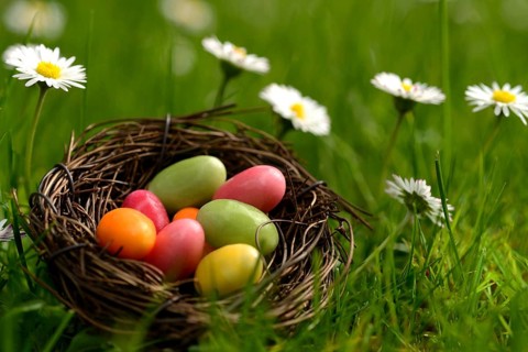 Sugar eggs in an Easter nest in the meadow with daisies