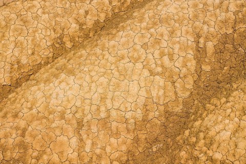 Dry cracked earth texture creates a dramatic pattern, highlighting the impact of severe drought and