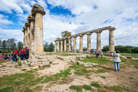 Columns of the Doric Temple of Hera, archaeological site site of Metaponto, Bernalda, Basilicata