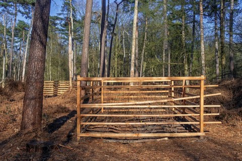 Wooden lattice called reeblock, roe deer block, fence for game browsing protection of young trees